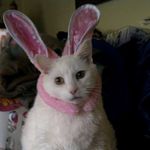 Kathy Hilderbrand Bennington - @kathybennington - Instagram