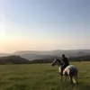 Kathy Bentley - @kathy.bentley3 - TikTok