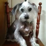 Kathy Bentley - @kathy.bentley.58910 - Instagram