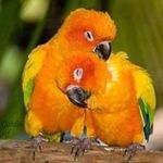 Kathy Berger - @kathy.berger47 - Instagram