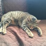 Kathy Berger - @kberger1959 - Instagram
