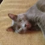Kathy Berger - @kathy.berger.92 - Instagram