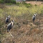 Kathy Berkowitz - @kathy.berkowitz.77 - Instagram