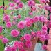 Cathy Bernard - Facebook