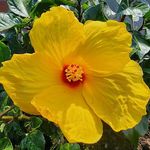 Kathleen Bernhardt - @kathybernhardt520 - Instagram