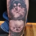 Kathy Bessette - @mysniglet - Instagram