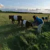 kathy.verhage - @kathy.verhage - TikTok