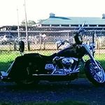 Kathy Beveridge - @kathy.beveridge - Instagram