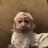 Kathy Beyer - @kathy.beyer - TikTok