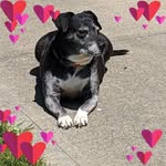 Kathy Schacherer Beyer - @schachererbeyer - Instagram