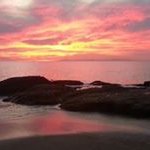 Kathy Biddle - @kbiddle52 - Instagram