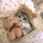 Kathy - @kathy_bing_02 - Instagram