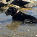 Kathy Binney Borgatti - @kgatti5 - Instagram