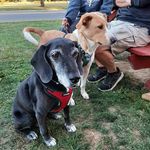 Kathy Bittinger - @kathybittinger - Instagram