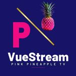 Kathy Bittner - @vuestream.pinkpineapple - Instagram