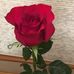 Kathy Bittner - Facebook