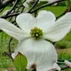 kathyblades476 - @kathyblades476 - TikTok