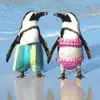 kathyblakelysands - @kathyblakelysands - TikTok