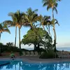 Kathy Blausey - @kathy.blausey - TikTok