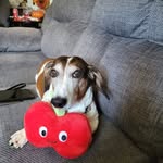 Kathy Blauvelt - @blauveltkathy - Instagram