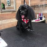 Kathy Bledsoe Nelson - @kathynelson2647 - Instagram