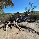 Kathy  Blessing - @gopayod635 - Instagram