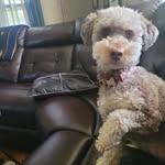 Kathy Block - @block6829 - Instagram