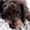 Kathy Block - @kathyblock4 - TikTok