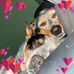 Kathy Block - Facebook