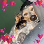 Kathy Block - @kkblock6464 - Instagram