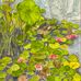 Kathy Blomquist - Facebook