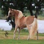 Kathy Blunt Cowger - @kathybluntcowger - Instagram