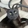 Kathy Blythe - @kathy.blythe4 - TikTok