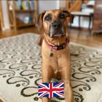 Kathy Boardman - Facebook