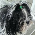 Kathy Boardman Purdy - @nickkathychloe - Instagram