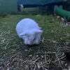 Katy Boardman - @katy.boardman - TikTok