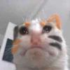 kathy - @kathykimbob - TikTok