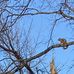 Kathy Bock - Facebook