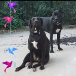 Kathy Bodey - @kathy.bodey.3 - Instagram