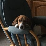 Kathy Bennington-Bodnar - @kathy_bodnar - Instagram