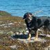 Kathy Boggs - Facebook