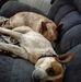 Kathy Boggs - Facebook