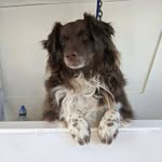 Kathy Boice - @boicekathy - Instagram