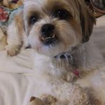Kathy Boles - @kathy.boles.7773 - Instagram