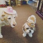 kathy boles - @kathu6028 - Instagram