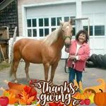 Kathy Boles - @kathy.boles.71 - Instagram