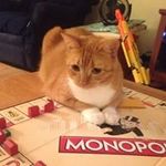 Kathy Boles Mackey - @bolesmackey - Instagram