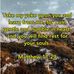 Kathy Boling - Facebook