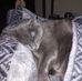 Kathy Bonds - Facebook