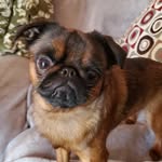 Kathy Brines Bonds - @kathybonds8 - Instagram